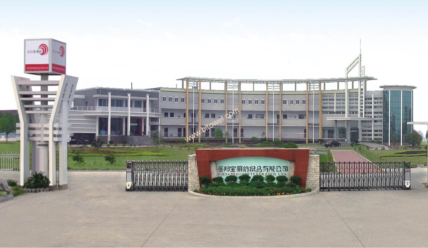 Yueyang Baoli Textiles-Beach Towel-Towel Bag-Poncho-Factory